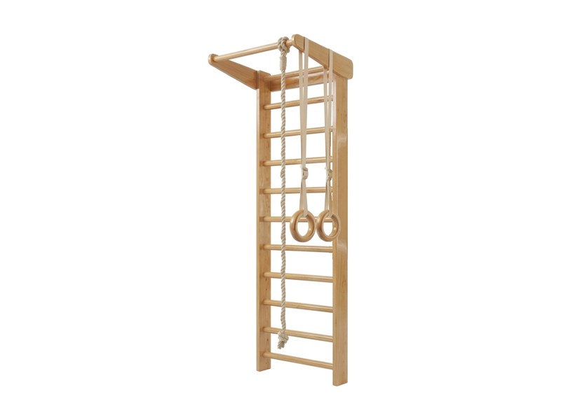 Wall bars with pull-up bar, climbing rope and gymnastic rings